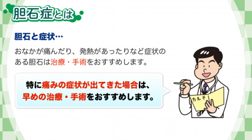 胆石症について|痛みの症状が出てきた場合は、早めの治療・手術をおすすめします。