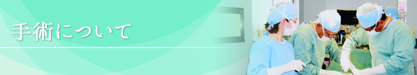 手術について|大岩外科胃腸科医院|痔・脱腸(ヘルニア)・消化器疾患|外科・胃腸科・麻酔科